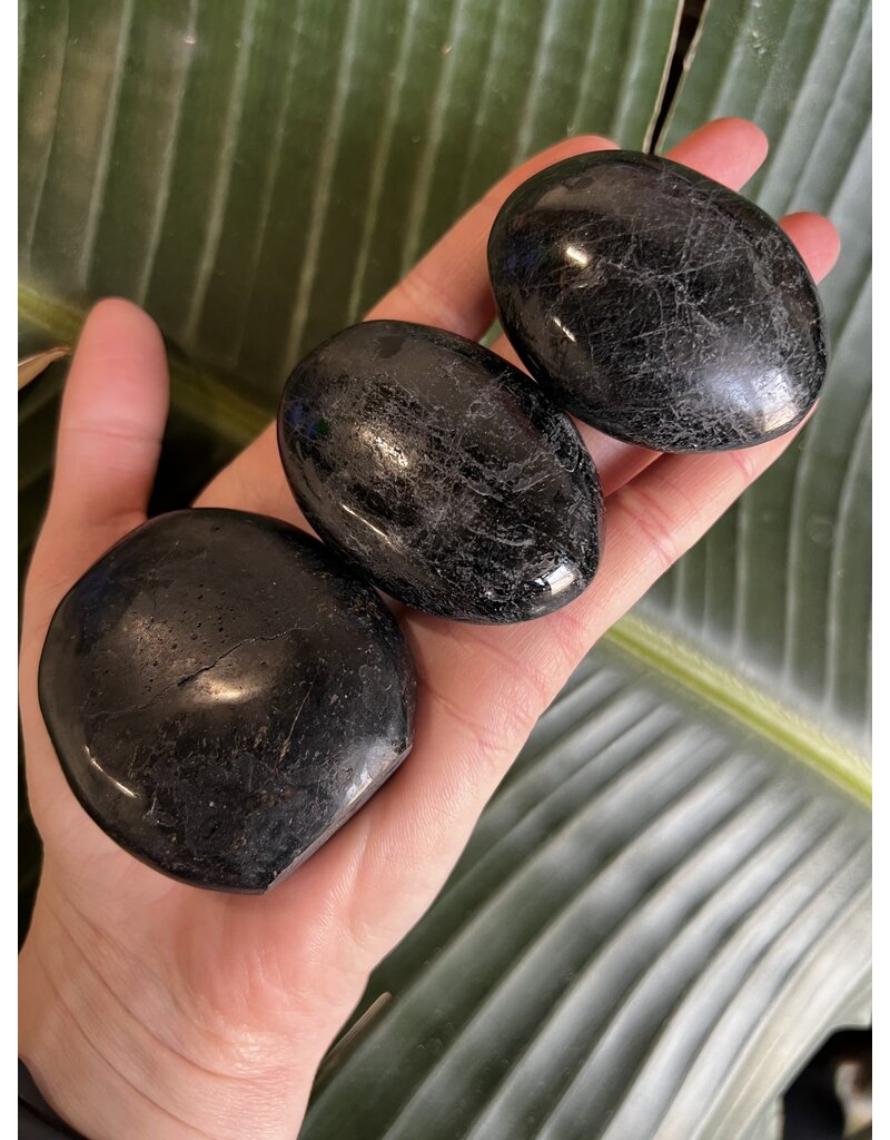 Black Tourmaline Palm Stone, Size Medium [100-124gr]