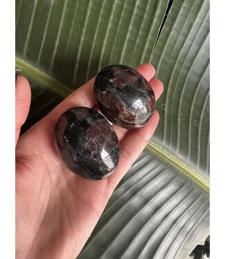Garnet Palm Stone, Size X-Small [50-74gr]