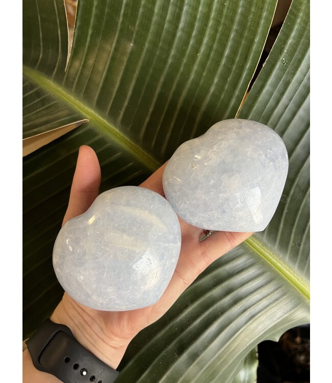 Blue Calcite Heart, Size Dino-Plus [375-399gr]