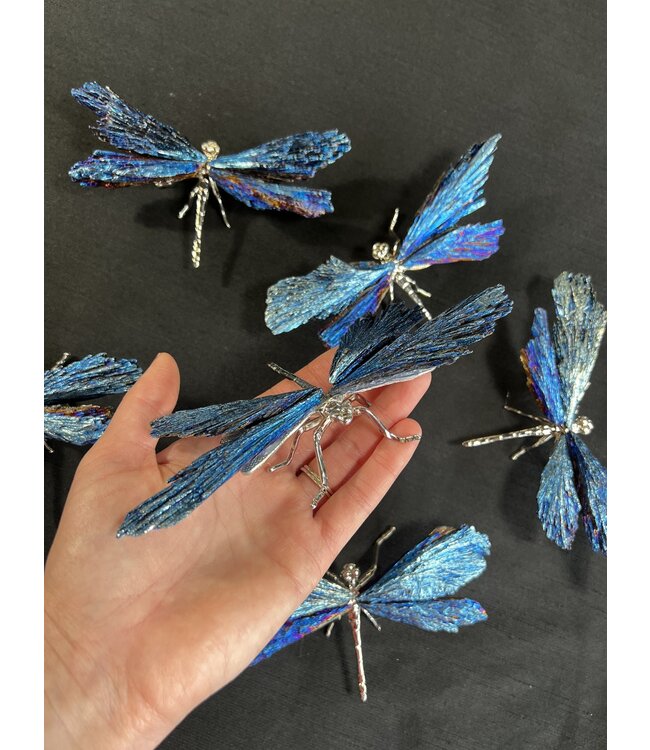 Blue Aura Kyanite Dragonfly, Silver