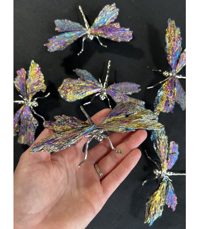 Multi-Colour Aura Kyanite Dragonfly, Silver
