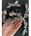 Multi-Colour Aura Kyanite Dragonfly, Silver