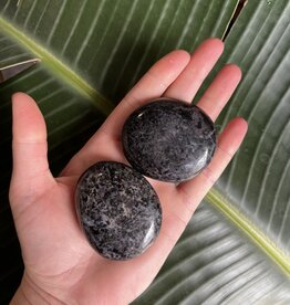 Gabbro Palm Stone, Size Small [75-99gr]