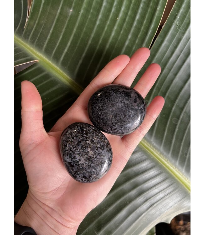 Gabbro Palm Stone, Size Small [75-99gr]