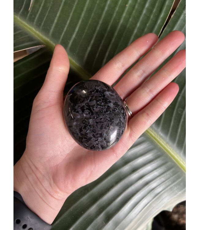 Gabbro Palm Stone, Size Large [125-149gr]
