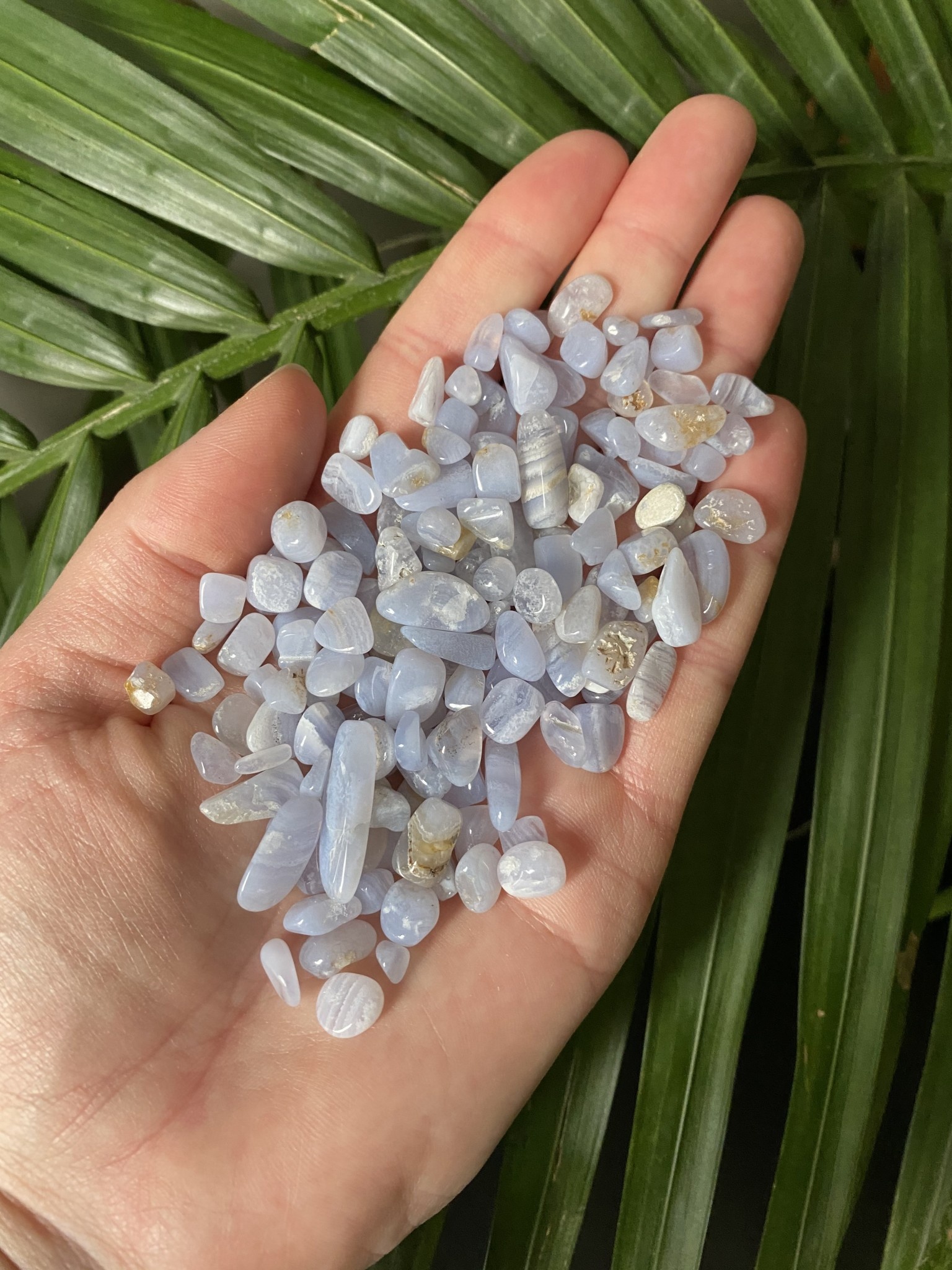 Blue Lace Agate Chip Stones The Raw Rock Shop