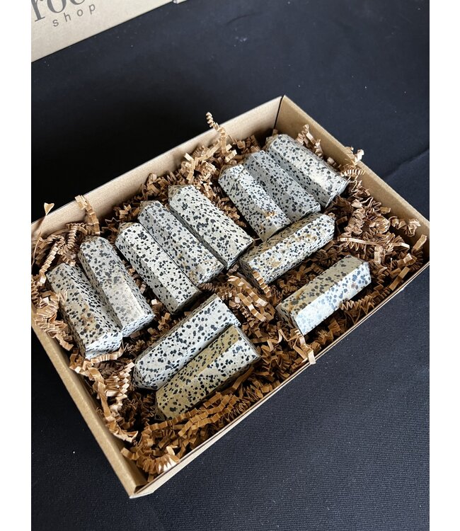 Dalmatian Jasper Points 1KG bulk lot