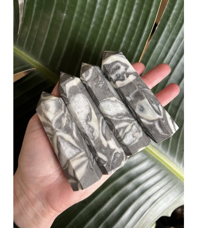 Shell Jasper Point, Size X-Large [100-124gr]