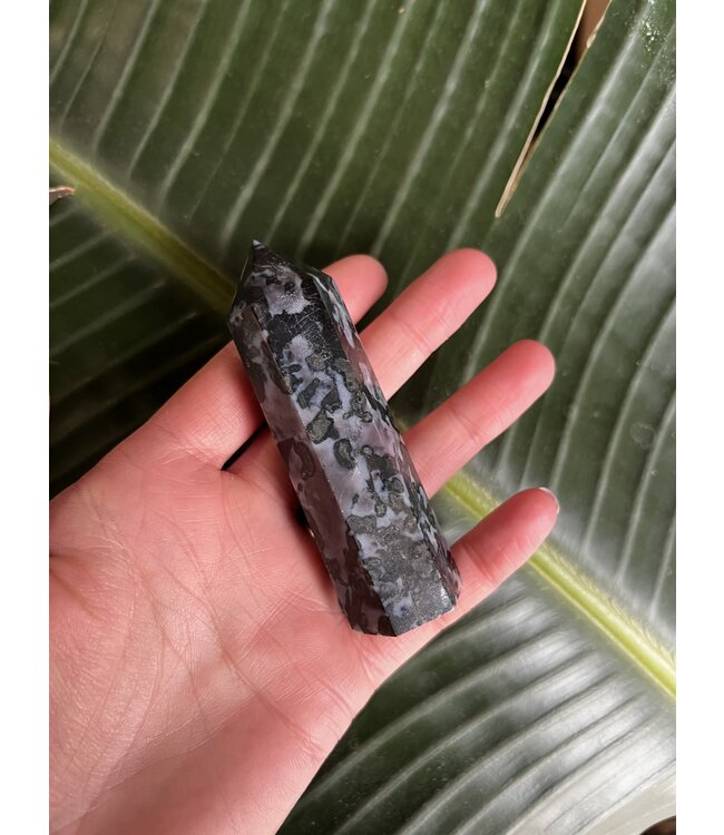 Gabbro Point, Size X-Large [100-124gr]