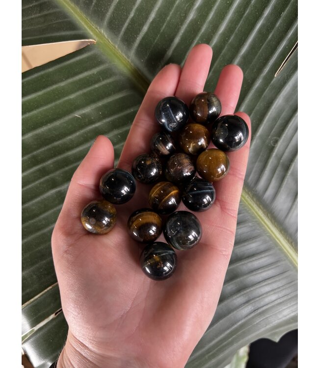 Mini Blue Tiger Eye Sphere, 1cm