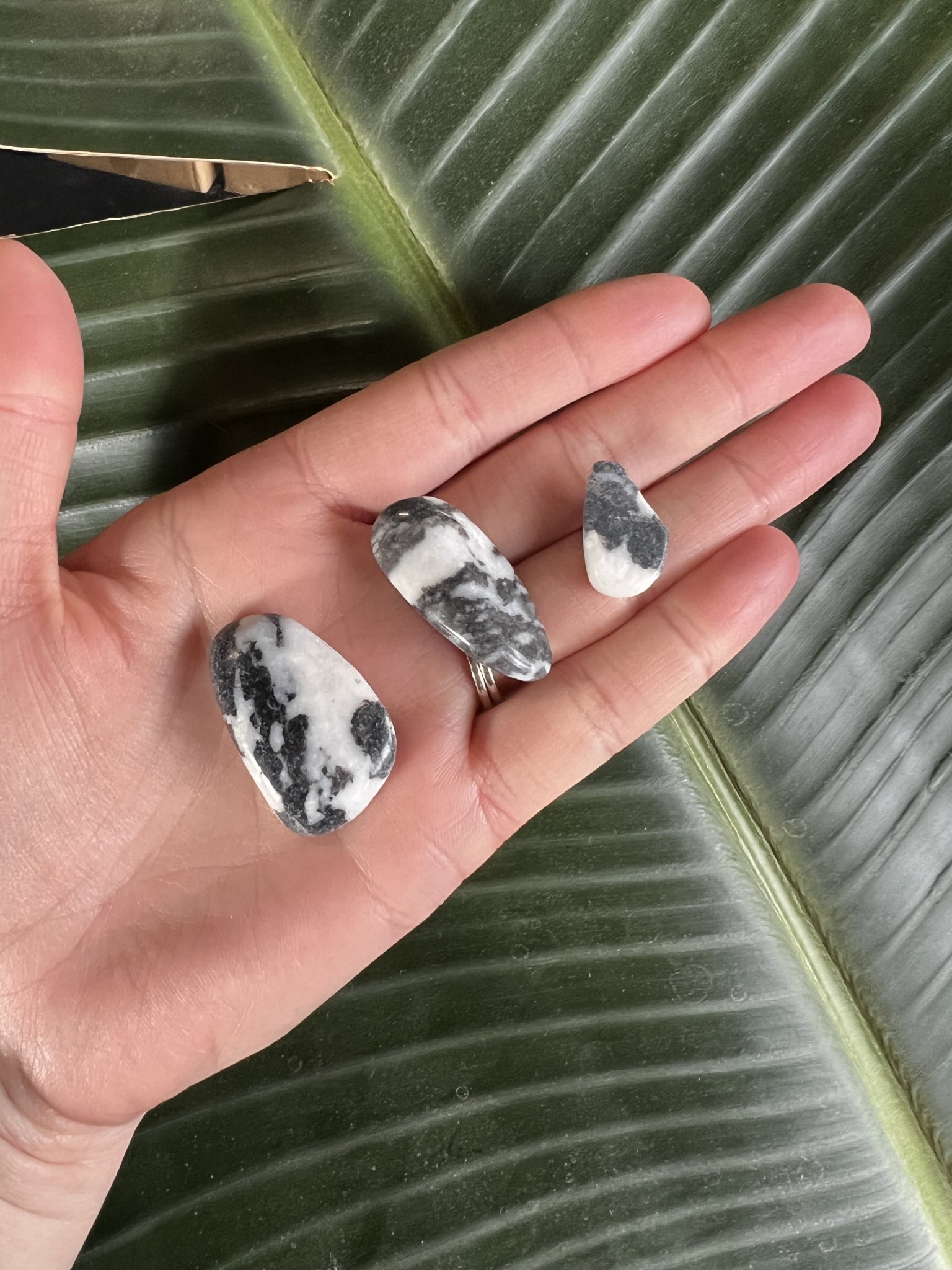 Black Zebra Jasper Tumbled Stones, Polished Black Tourmaline, Grade A