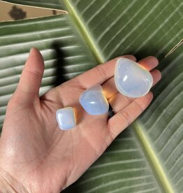 Opalite Tumbled Stones, Polished Opalite, Grade A; 4 sizes available, purchase individual or bulk