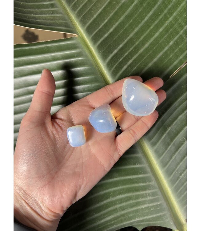 Opalite Tumbled Stones, Polished Opalite, Grade A; 4 sizes available, purchase individual or bulk