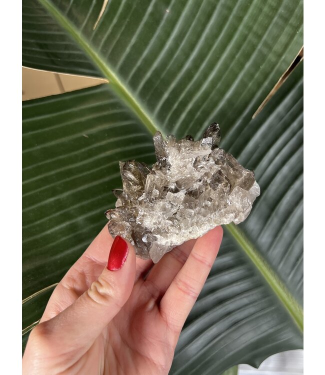 Smoky Quartz Cluster #171, 184gr