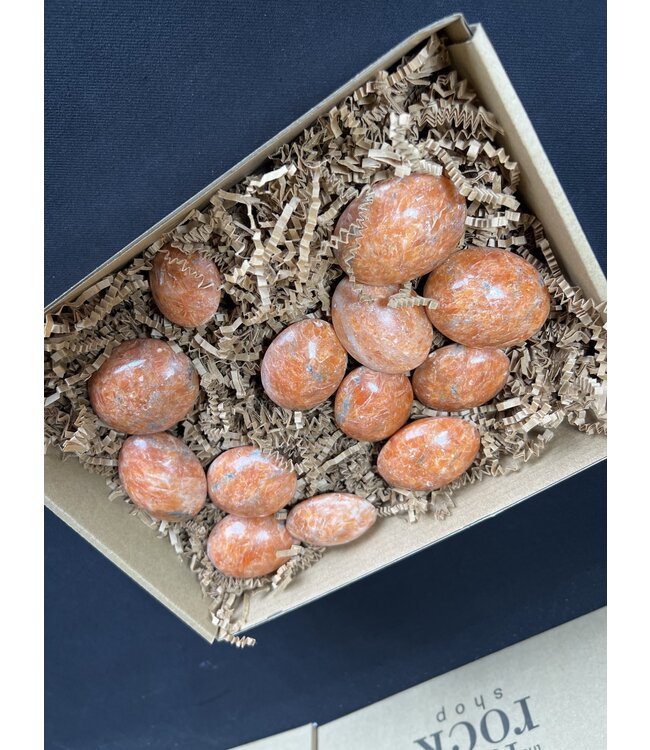 Sunstone Palms 1KG bulk lot