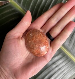 Sunstone Palm, Size XX-Small [25-49gr]