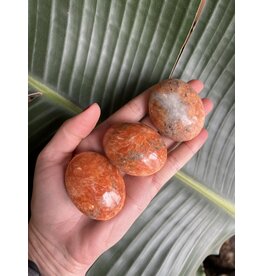 Sunstone Palm, Size X-Small [50-74gr]