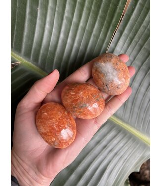 Sunstone Palm, Size X-Small [50-74gr]
