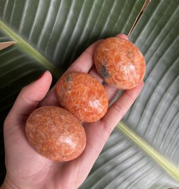 Sunstone Palm, Size Small [75-99gr]