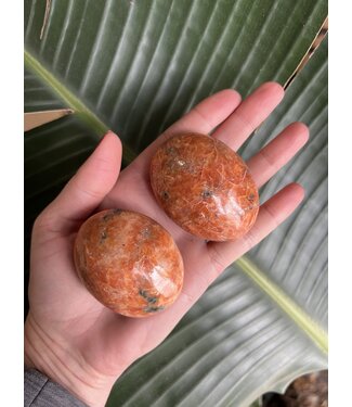 Sunstone Palm, Size Medium [100-124gr]