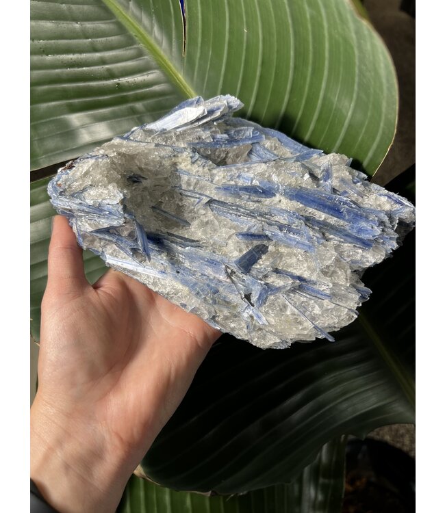 Kyanite Specimen #122, 1802gr