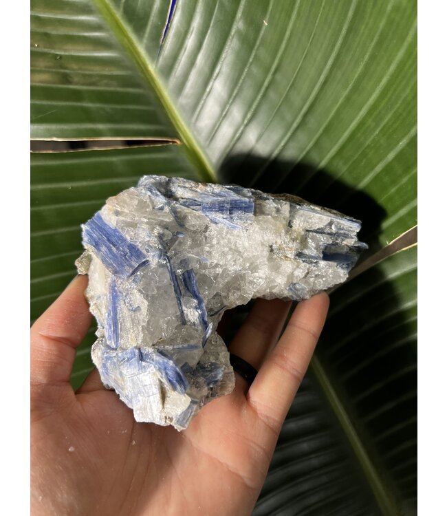 Kyanite Specimen #143, 530gr
