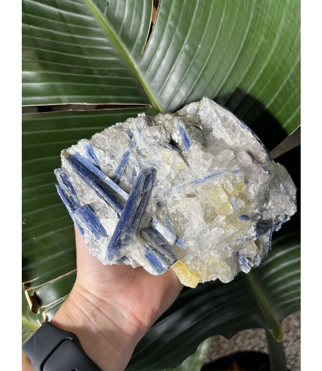 Kyanite Specimen #179, 1512gr