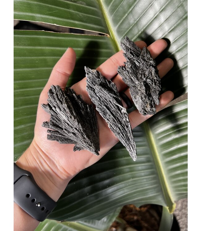 Rough Black Kyanite Size 1 [1-99gr]