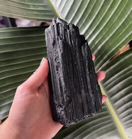 Black Tourmaline Specimen #67, 854gr