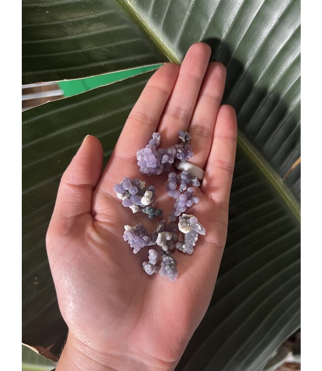 Mini Grape Agate Lots, 20gr