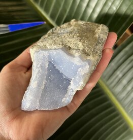 Blue Lace Agate Raw Geode #303, 470gr