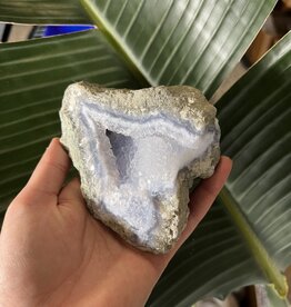 Blue Lace Agate Raw Geode #317, 492gr