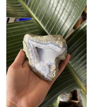 Blue Lace Agate Raw Geode #317, 492gr