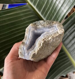 Blue Lace Agate Raw Geode #321, 416gr