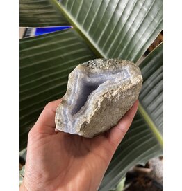 Blue Lace Agate Raw Geode #321, 416gr