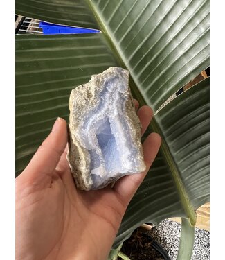 Blue Lace Agate Raw Geode #335, 294gr