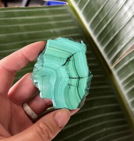 Polished Malachite Slice #121, 62gr