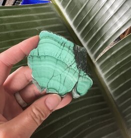 Polished Malachite Slice #132, 78gr