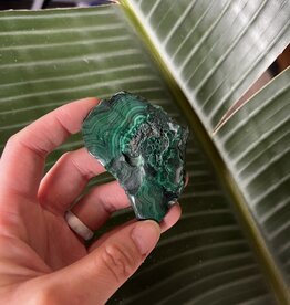 Polished Malachite Slice #164, 52gr