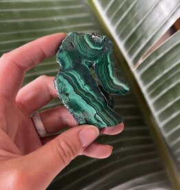 Polished Malachite Slice #176, 62gr