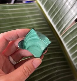 Polished Malachite Slice #256, 30gr