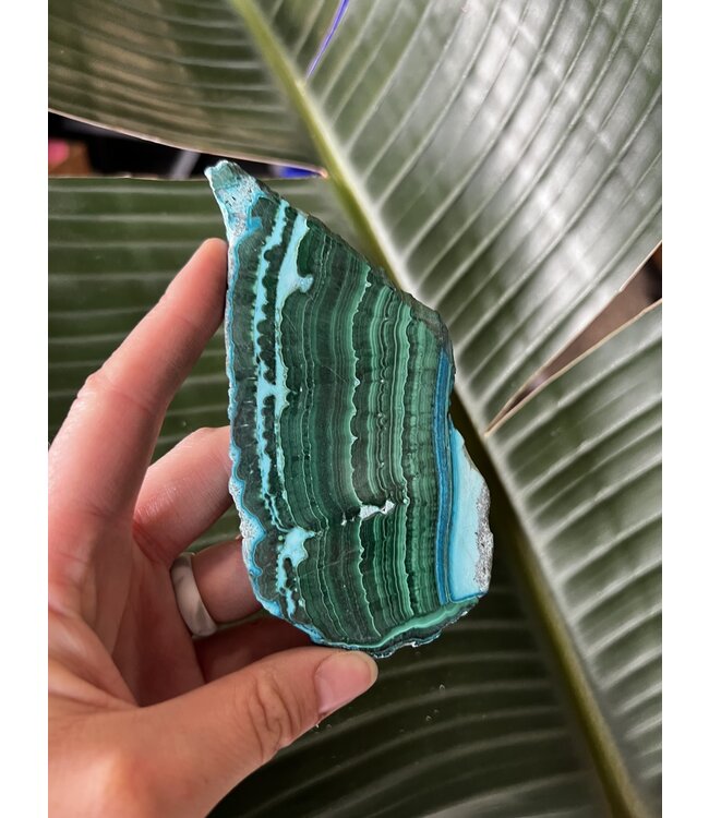 Malachite/Chrysocolla Slice #24, 104gr