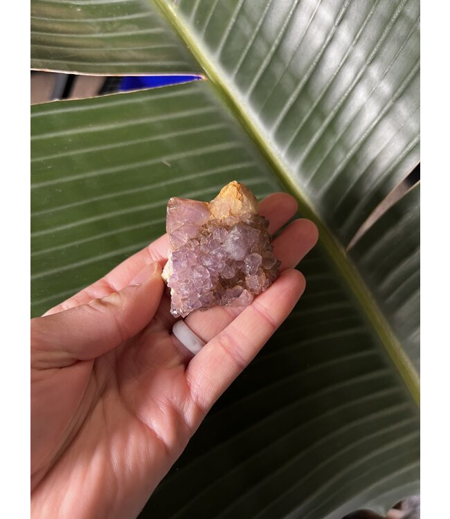 Smoky Amethyst Spirit Quartz #24, 54gr