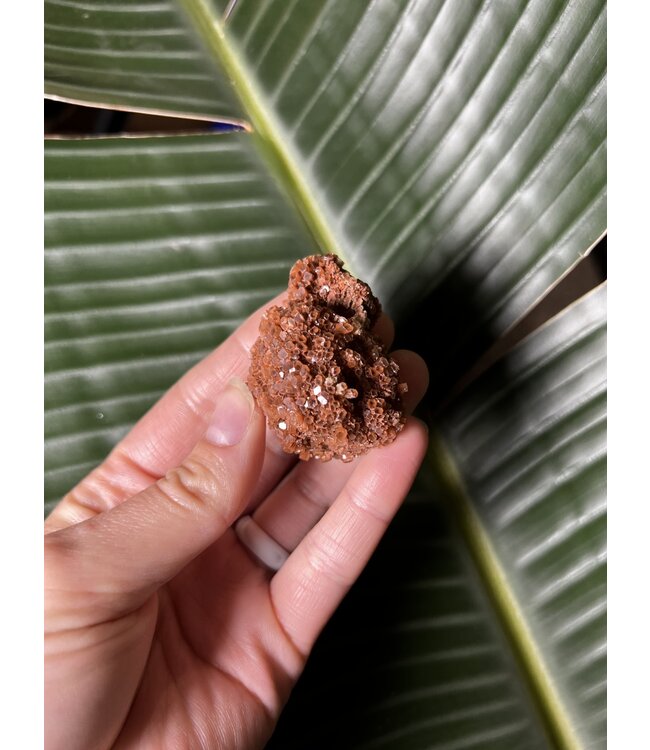 Aragonite Specimen #21, 52gr