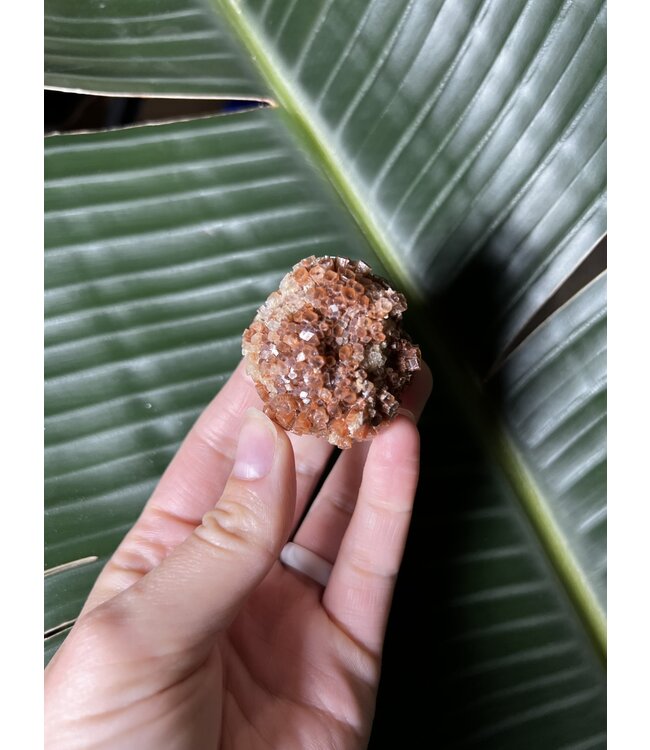 Aragonite Specimen #23, 60gr