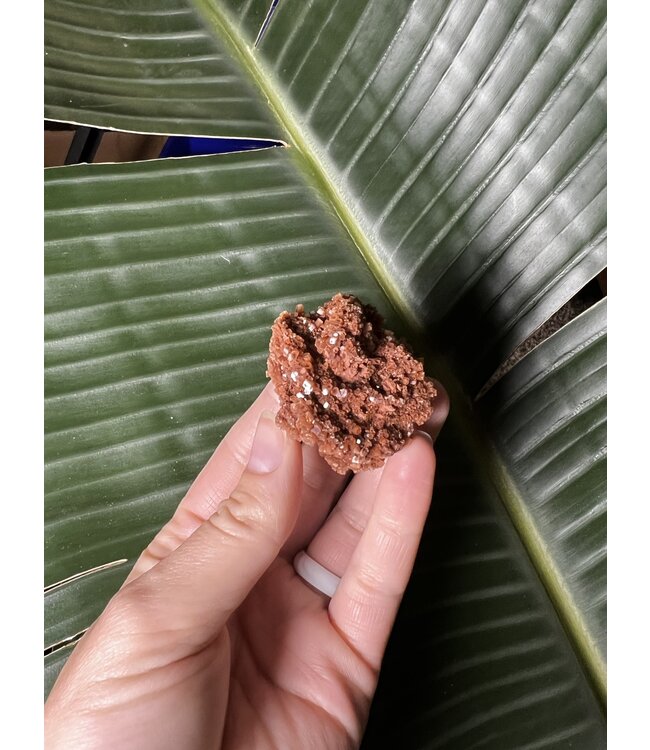 Aragonite Specimen #24, 48gr