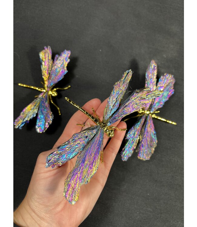 Multi-Colour Aura Kyanite Dragonfly, Gold