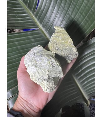 Rough Serpentinite Size 3 [200-299gr]