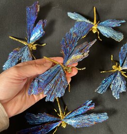 Blue Aura Kyanite Dragonfly, Gold