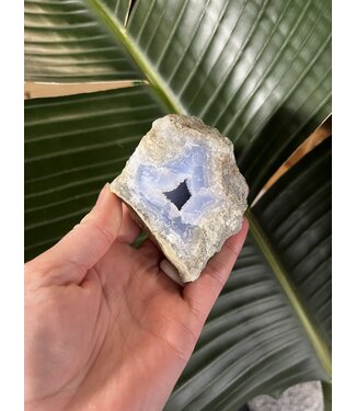 Blue Lace Agate Raw Geode #428, 270gr